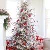 Christmas Tree for sale